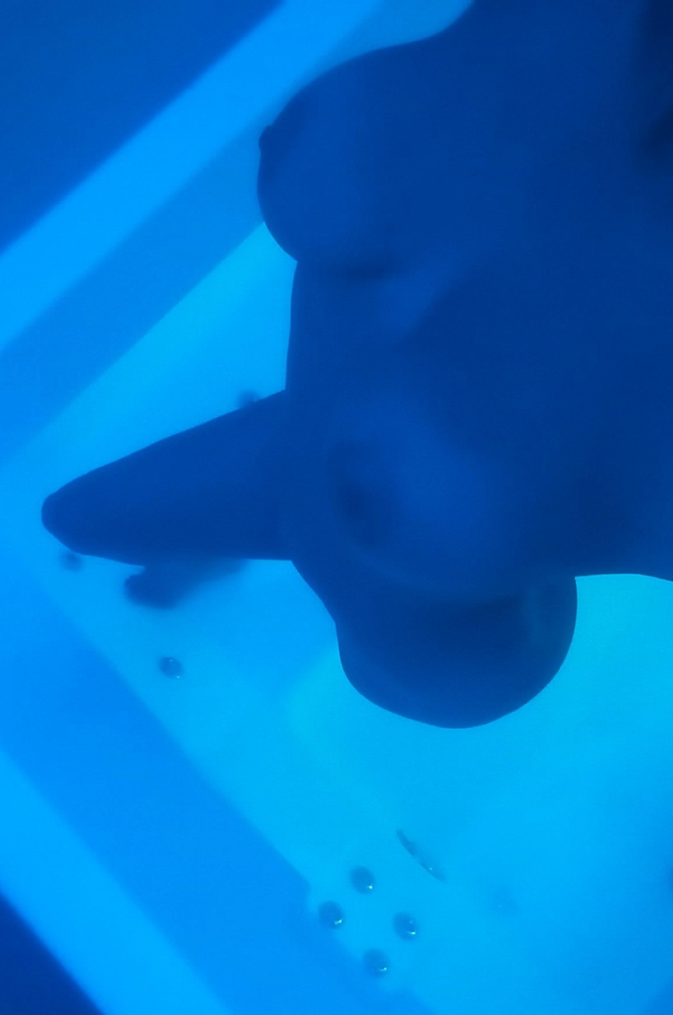 Cristina  Cristina vuole te... 